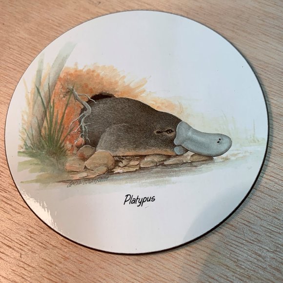 Jason, , 6 Round Coasters, Australian Animals - Picture 6 of 11